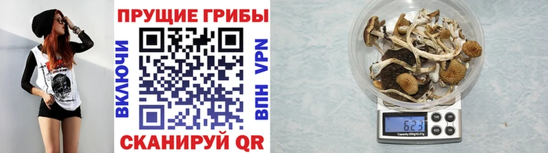 Псилоцибиновые грибы мицелий  Купить  Полесск 
